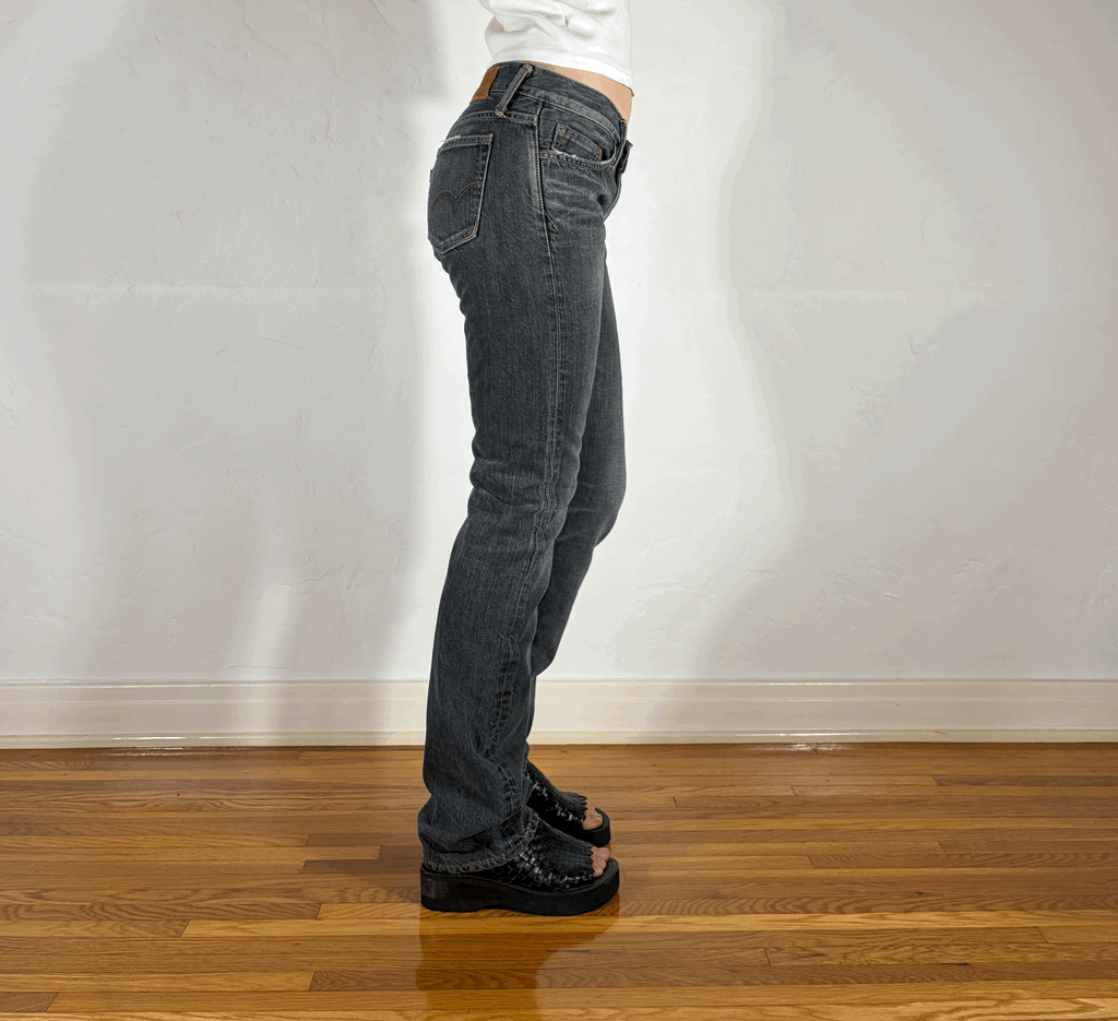 Edwin Low Rise Dark Gray Jeans, S