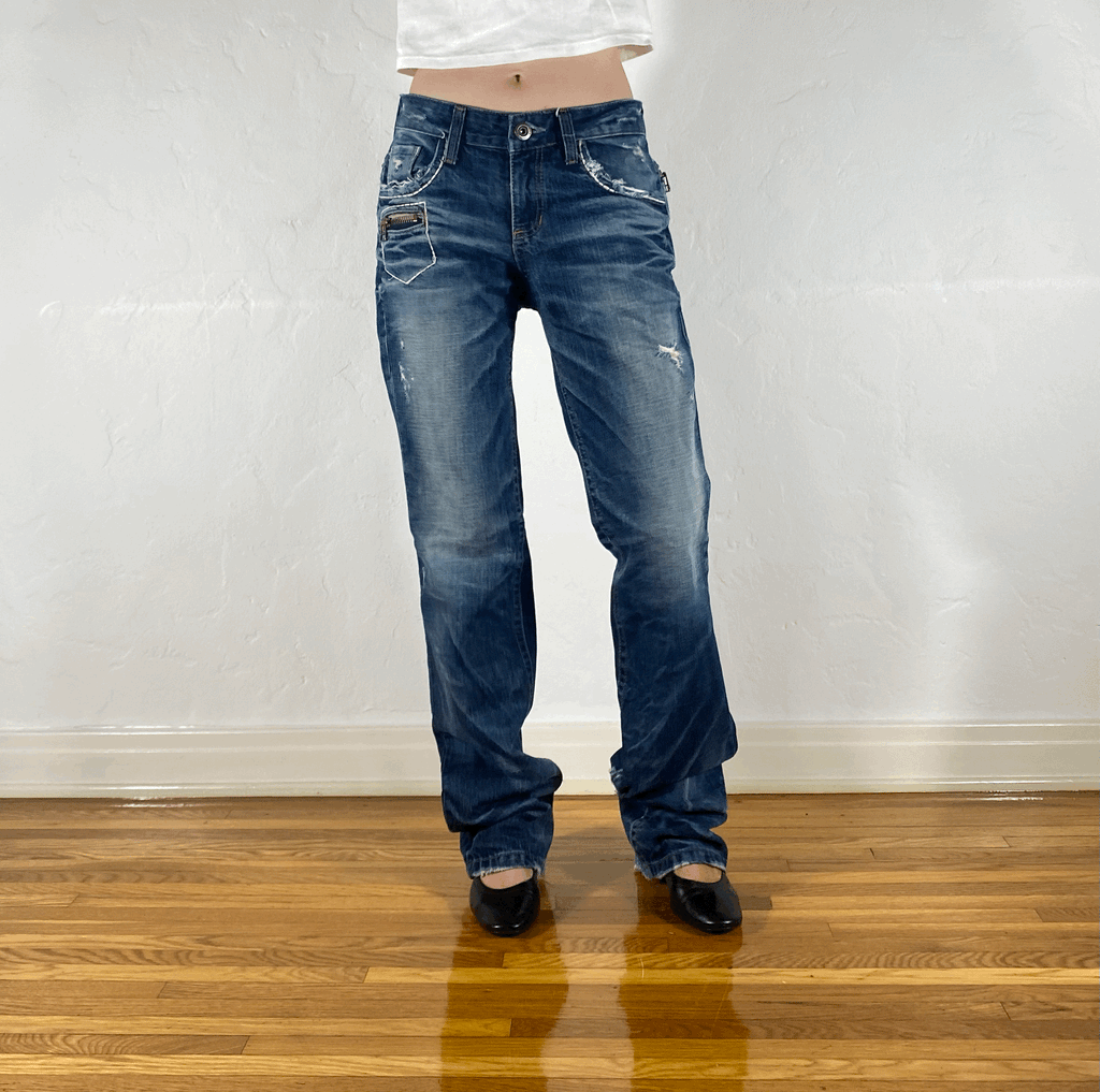 Lolita Low Rise Zipper Jeans, M