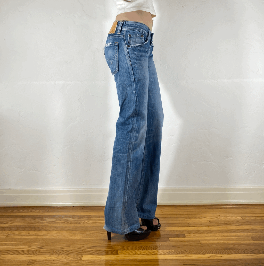 Edwin Low Rise Light Blue Flare Jeans, S