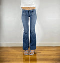 Robin Angel Wing Tramp Stamp Jeans, XXS